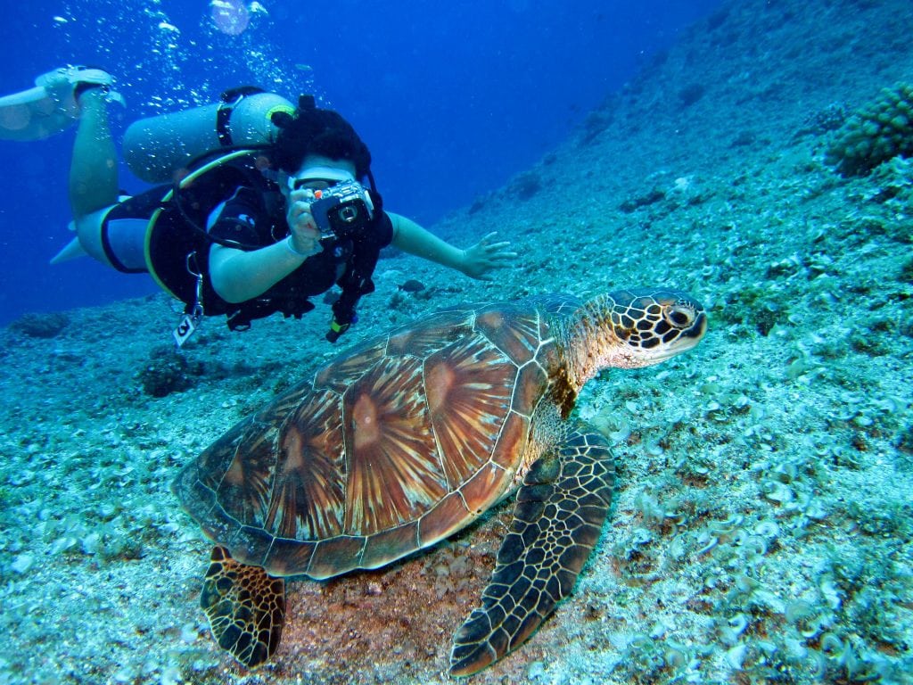 Underwater Diving: Exploring the Depths and Traveling Safely